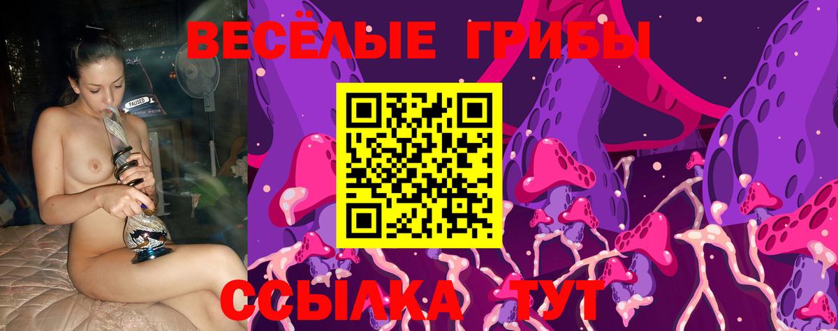 Владимир  Псилоцибиновые грибы MAGIC MUSHROOMS  Вход с VPN  Галлюциногенные грибы мицелий 